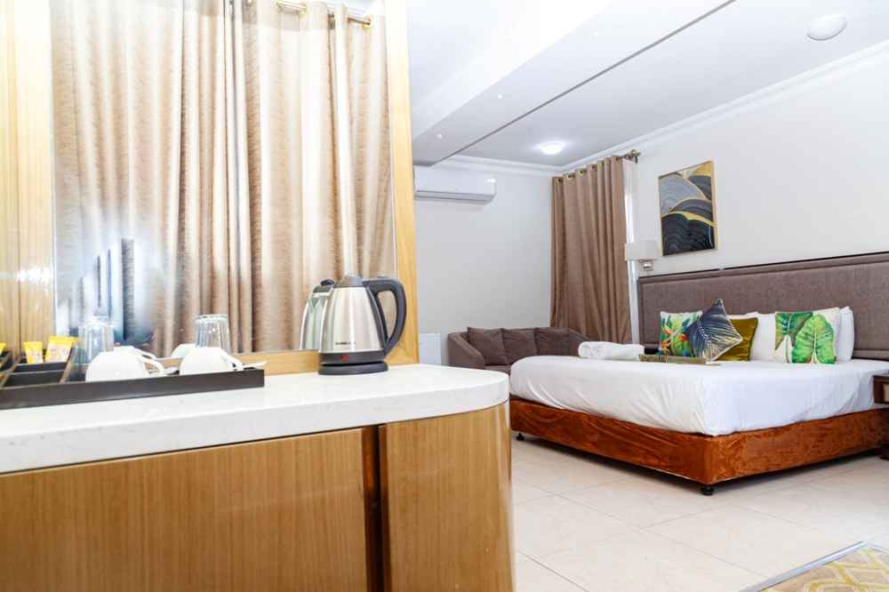 Cycad palms product image